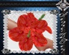 Pulseras *flor arisha*