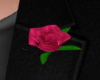 Chest Rose Pink
