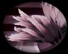 .:KITT:.Rush Fur5
