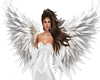 WINGS WHITE
