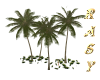 EASY Tahari Desert Palms
