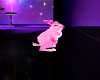 (DD)pink animated bunny