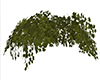M* Ivy Dome Decor Room