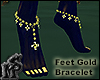 Feet Bracelet in Gold
