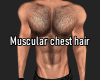 Muscular chest hair 6