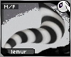 ~Dc) LeeAnn Lemur Tail 2