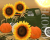 !A autumn truck