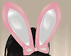 FG~ Pink Bunny Set
