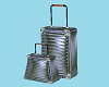 CK PM Luggage Silver