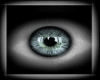 Eyes Blue Green [ M/F ]