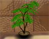 (IKY2) GIANT PLANT LEAVE