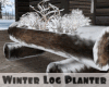 *Winter Log Planter
