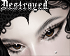 natural brows v2