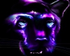 Purple Panther Radio