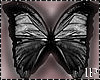 Butterflies Black Flying