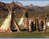 NativeDesertteepee1