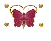 burgandy butterfly