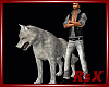 Animated Wolf  /Pets