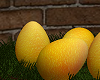 [AG] Well Eggs 2