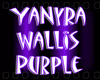 ~YaNyRa Wallis Purple~