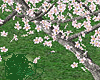 Spring Dreams Sakura