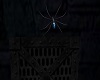 Dark Palace Wall Spider