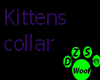 Kittens Collar
