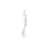 Ê | body scaler 3