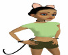 Acessorios catgirl