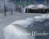 AV Winter Wonder