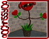Dancing Valentine Plant