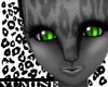 [Vum] Black Panther Eyes