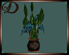 (Di) Exotica Plant2