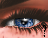 SF- Dark Blue Eye F