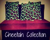 Cheetah Collection #1