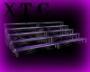 Club Bleachers Purple