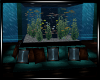(A) Aquarium Lounge