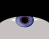 BlueViolet eyes