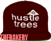 LRG HustleTrees Snapback