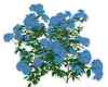 Bleu Flowers Bush