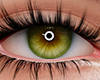 Olhos Verdes 