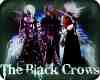 The Black Crows