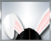 B*Easter Bunny Ears Anim