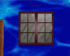 [cor] Special window ani