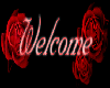 red rose welcome