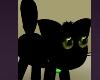 Little Black Cat Cats Meow Fun Funny Animals Pets