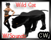A Wild Cat W/Sounds