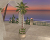 Romance Beach Lit Palm