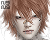 ╋━rein