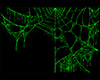 Green Animated Cobweb